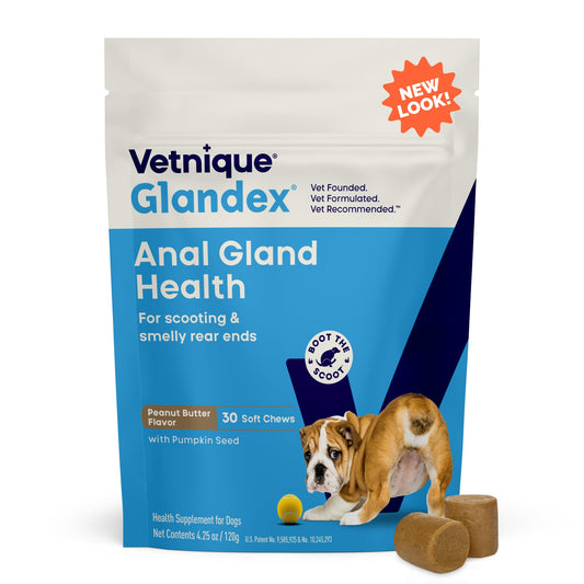 Vetnique Glandex Anal Gland Soft Chew Treats with Pumpkin for Dogs Digestive Enzymes, Probiotics Fiber Supplement for Dogs Boot The Scoot (Peanut Butter Chews, 60 Count)