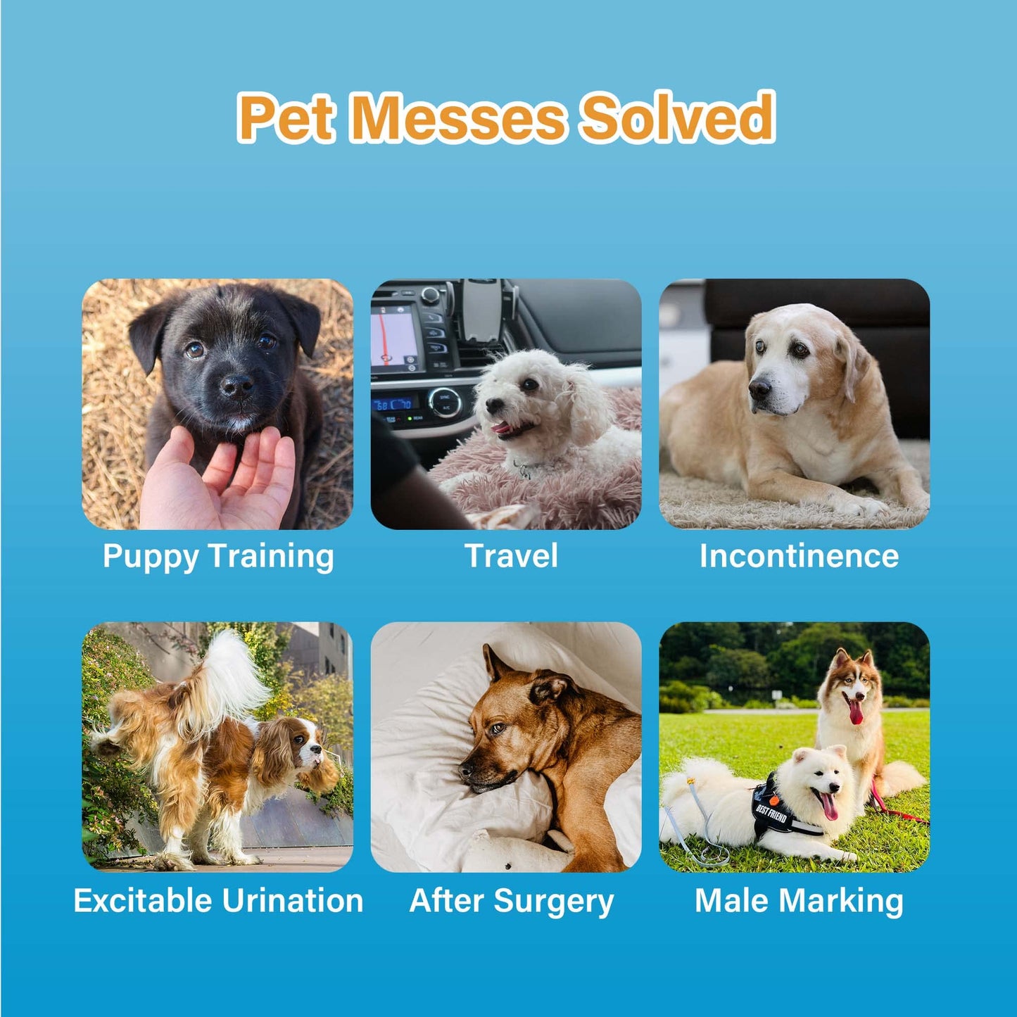 HONEY CARE All-Absorb A26 Male Dog Wrap, 50 Count, Small