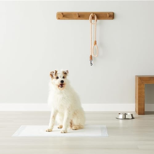 Amazon Basics Dog and Puppy Pee Pads, 5-Layer Leak-Proof Super Absorbent, Quick-Dry Surface, Potty Training, Regular (22x22"), 100 Count, Blue & White