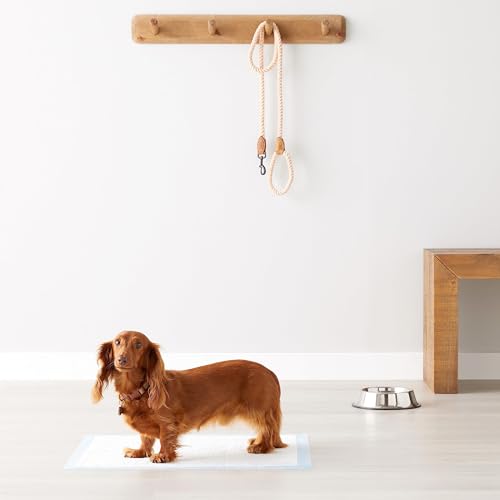 Amazon Basics Heavy Duty Dog and Puppy Pee Pads, 5-Layer Leak-Proof Ultra Absorbent, Quick-Dry Surface, Potty Training, Regular (24x23"), 50 Count, Blue & White