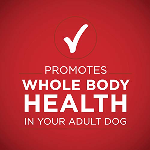 Purina ONE Classic Ground Chicken and Brown Rice, and Beef and Brown Rice Entrees Wet Dog Food Variety Pack - (Pack of 6) 13 oz. Cans