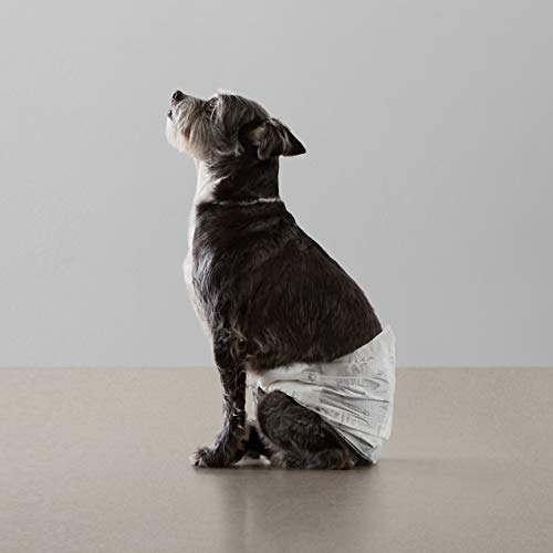 Amazon Basics Male Dog Diapers, 30 Count, Small, Ultra Absorbent Disposable Wrap with Secure Fit, Leakproof and Comfortable