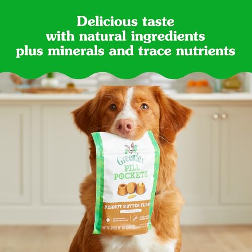 Greenies Pill Pockets for Dogs Large Size, Soft Dog Treats, with Real Peanut Butter, 15.8 oz. Pouch (60 Treats)