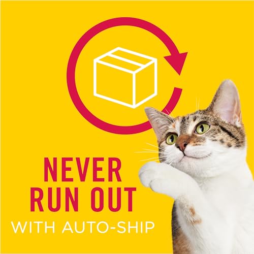 Purina Friskies Gravy Swirlers With Flavors of Chicken, Salmon and Gravy Dry Cat Food - 3.15 lb. Bag