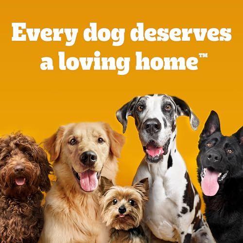 Pedigree Dentastix Large Breed Dog Treats, Fresh Flavor, 1.87 lb. Bag (36 Treats)