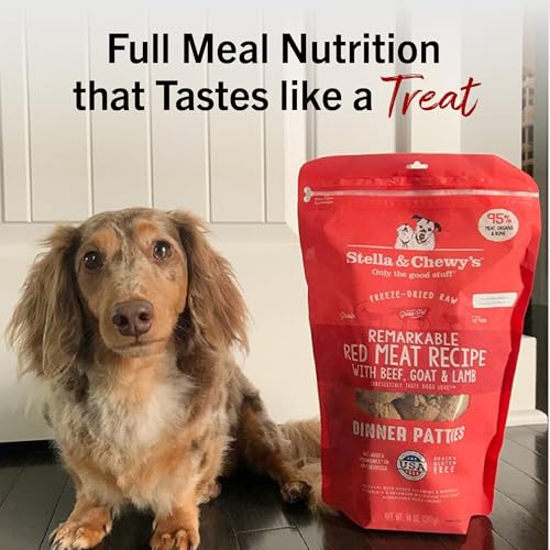 Stella & Chewy's Freeze-Dried Raw Dinner Patties - Dandy Lamb Recipe - High Protein Grain-Free Puppy & Dog Food - Perfect For Picky Eaters - 5.5 oz