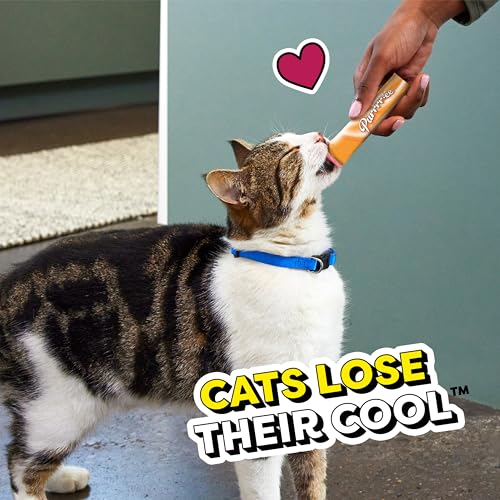 Temptations Creamy Puree Variety Pack of Squeezable Cat Treats, 0.42 oz. Tubes, 24 Count