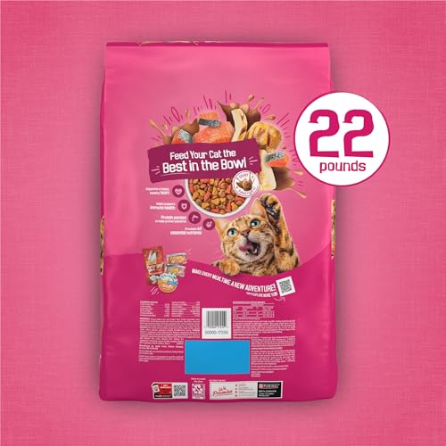 Purina Friskies Gravy Swirlers With Flavors of Chicken, Salmon and Gravy Dry Cat Food - 3.15 lb. Bag