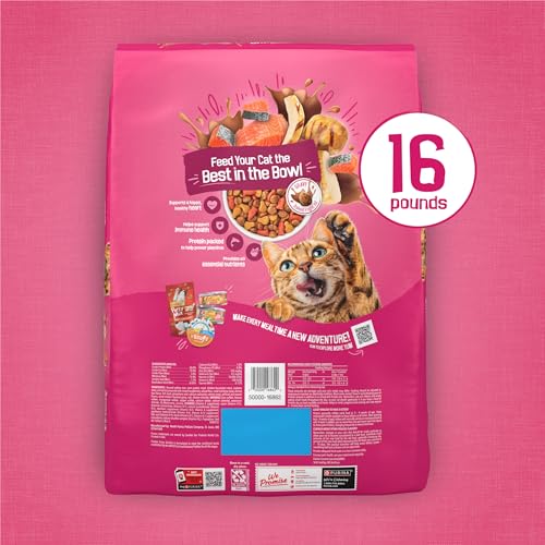 Purina Friskies Gravy Swirlers With Flavors of Chicken, Salmon and Gravy Dry Cat Food - 3.15 lb. Bag
