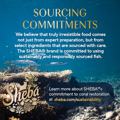 Sheba Perfect Portions Wet Cat Food Cuts in Gravy, Roasted Chicken Entree, with Sustainable Salmon, Tender Turkey Entree, 2.6 oz. Twin-Pack Trays (24 Count, 48 Servings)