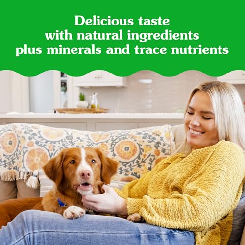 Greenies Pill Pockets for Dogs Large Size, Soft Dog Treats, with Real Peanut Butter, 15.8 oz. Pouch (60 Treats)