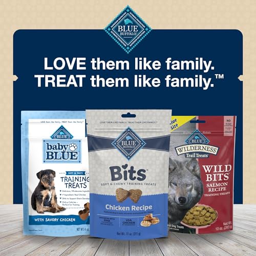 Blue Buffalo Bits Soft Dog Treats for Training, Made With Natural Ingredients & Enhanced with DHA, Chicken Recipe, 19-oz Bag