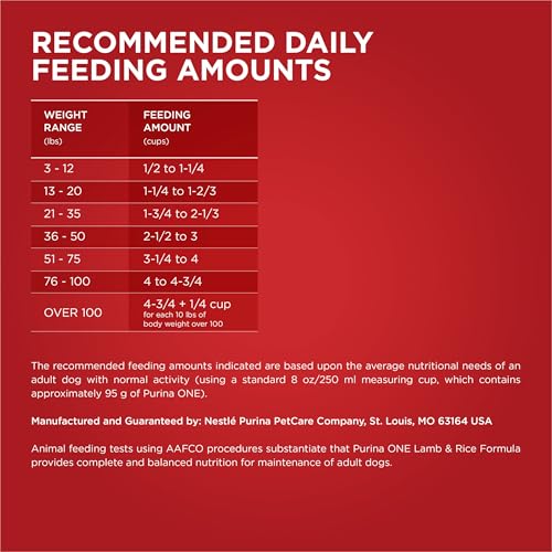 Purina ONE Dry Dog Food Lamb and Rice Formula - 31.1 lb. Bag