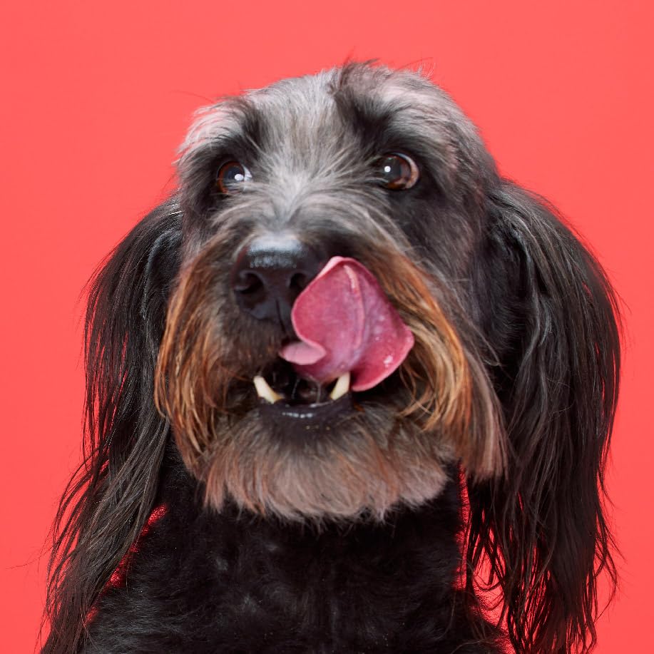 DreamBone Twist Sticks, Made With Real Chicken, Rawhide-Free Chews for Dogs, 50 Count