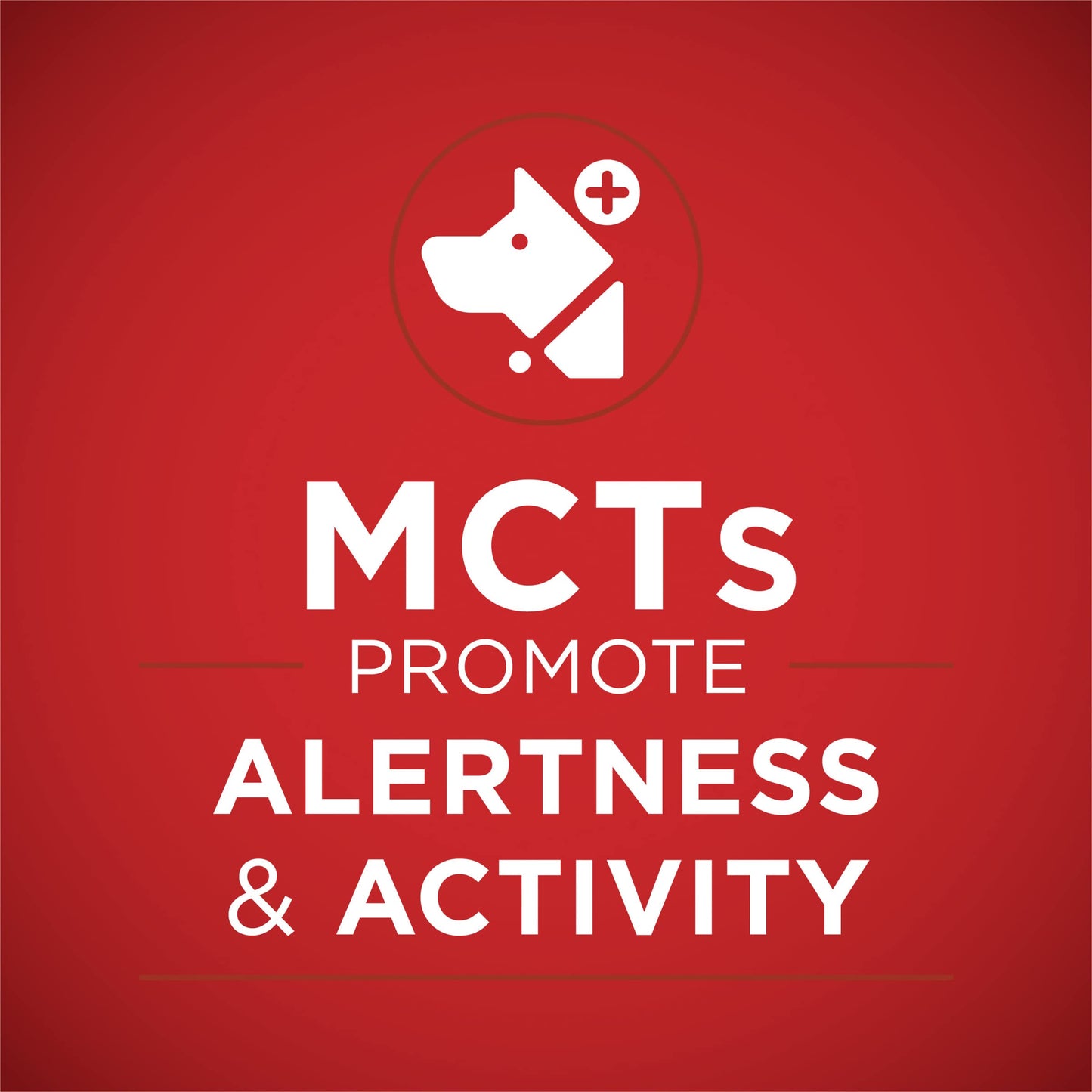 Purina ONE Classic Ground Chicken and Brown Rice, and Beef and Brown Rice Entrees Wet Dog Food Variety Pack - (Pack of 6) 13 oz. Cans