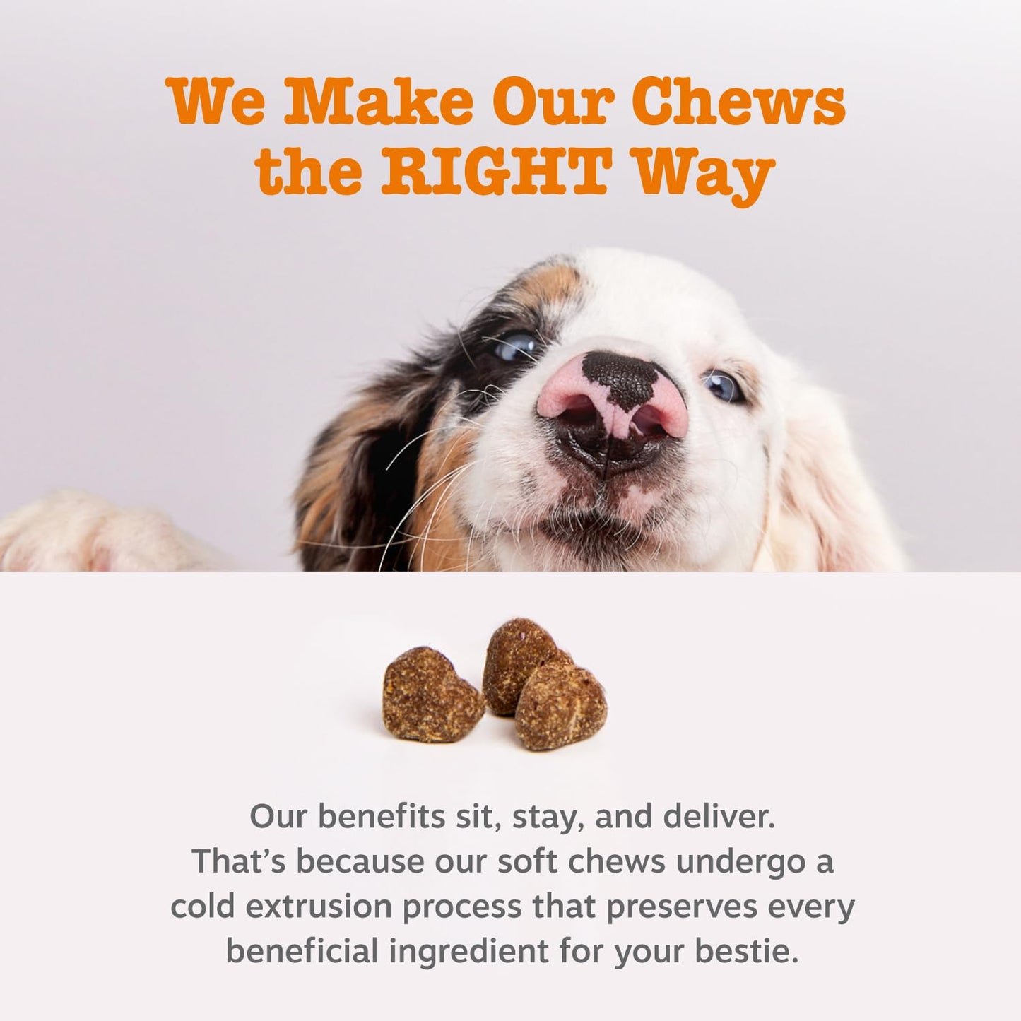 Zesty Paws Dog Allergy Relief- Dog Itching Skin Relief- Dog Probiotics for Itchy Skin and Itchy Ears- Dog Allergy Paw Relief- Dog Allergy Chews- Dog Itch Relief - Dog Skin Allergy Relief - Lamb - 90ct