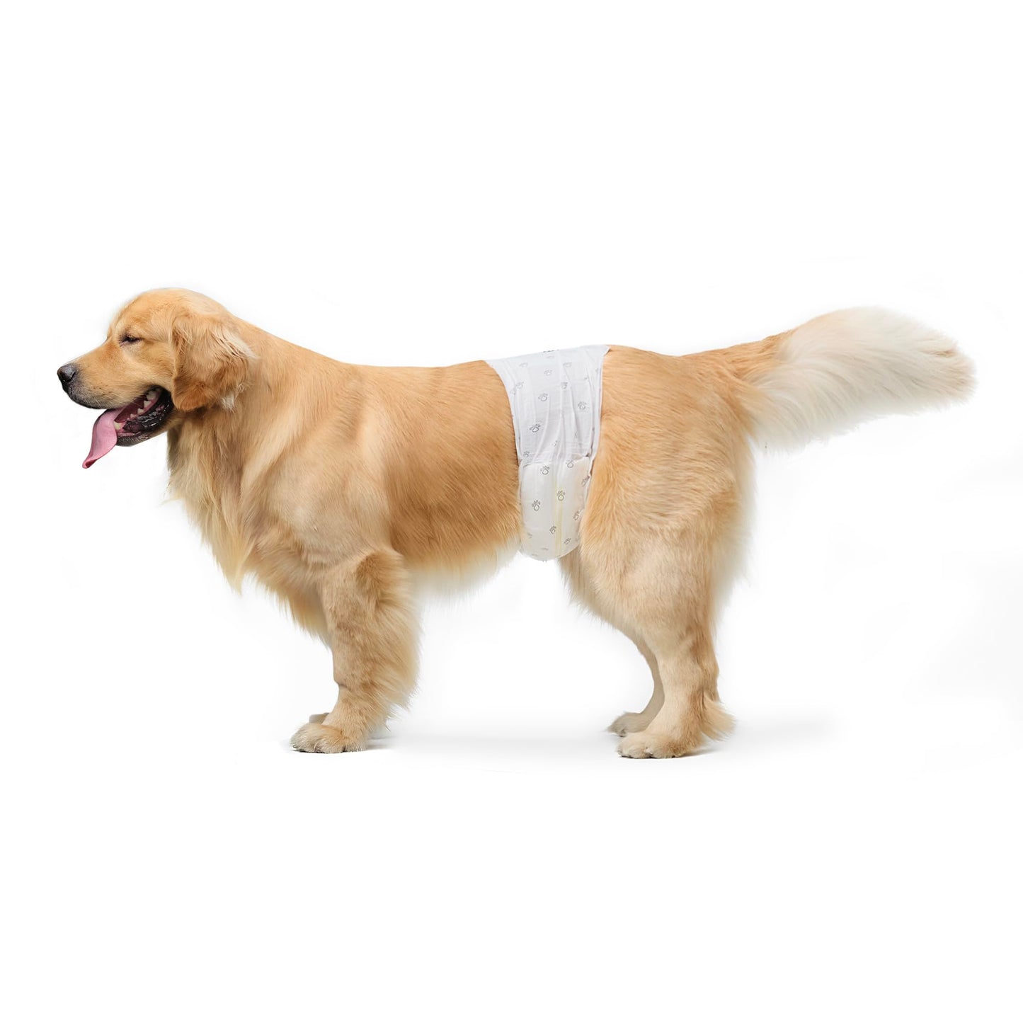 Amazon Basics Male Dog Diapers, 30 Count, Small, Ultra Absorbent Disposable Wrap with Secure Fit, Leakproof and Comfortable