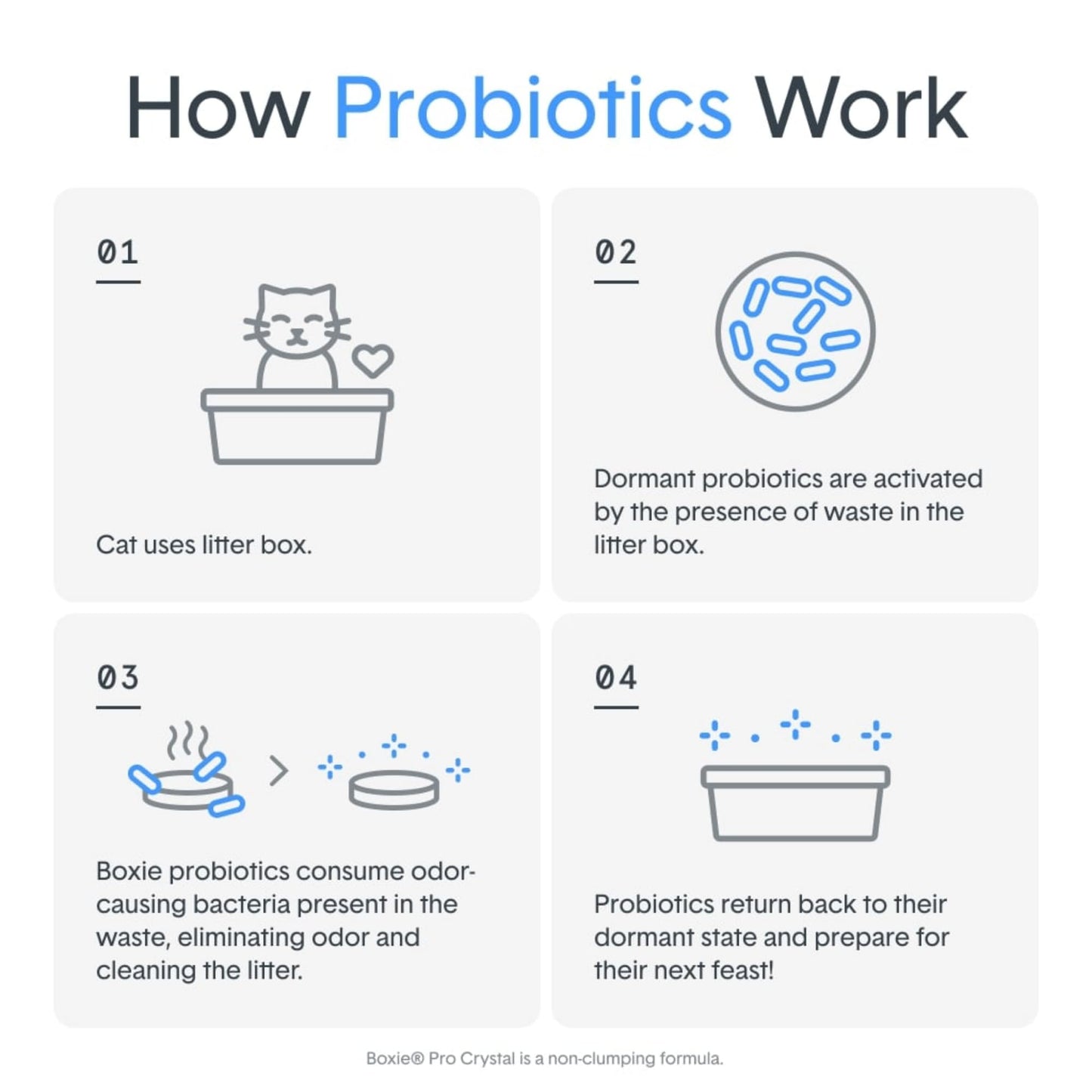 Boxie Probiotic Cat Litter, 40 Day Odor Control, Clumping Clay Kitty Litter, Odor Eliminating Probiotics, Dust-Free, No Fragrances No Fillers, 16 lb