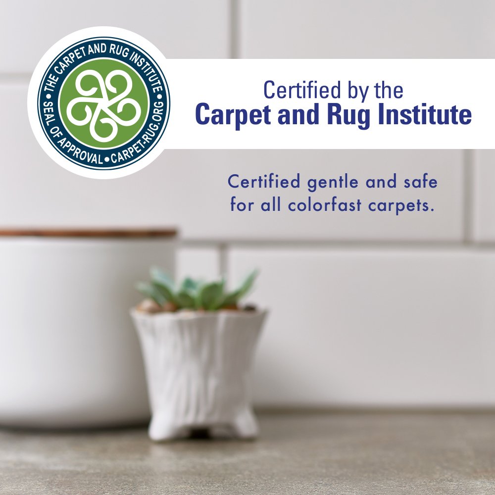 Rocco & Roxie Supply Co. Stain & Strong Odor Eliminator, Enzyme Cleaner, Pet Odor Eliminator for Home - Carpet Stain Remover for Cats & Dog Pee - Urine Destroyer - Carpet Cleaner Spray Clear, 32 Fl Oz