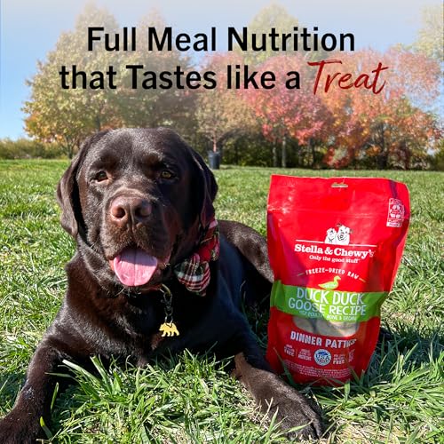 Stella & Chewy's Freeze-Dried Raw Dinner Patties - Dandy Lamb Recipe - High Protein Grain-Free Puppy & Dog Food - Perfect For Picky Eaters - 5.5 oz