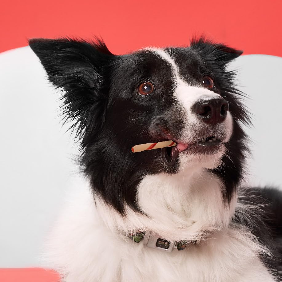 DreamBone Twist Sticks, Made With Real Chicken, Rawhide-Free Chews for Dogs, 50 Count