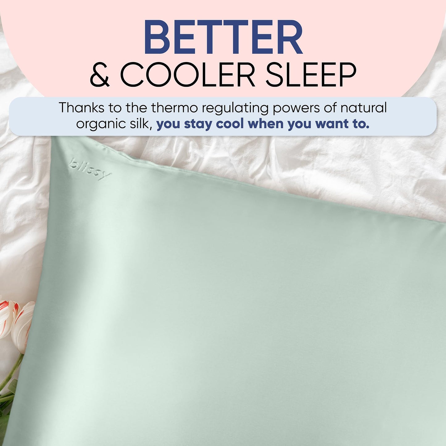 Blissy Silk Pillowcase - 100% Pure Mulberry Silk - 22 Momme 6A High-Grade Fibers - Silk Pillow Cover for Hair & Skin - Regular, Queen & King (Blissy White, Standard)