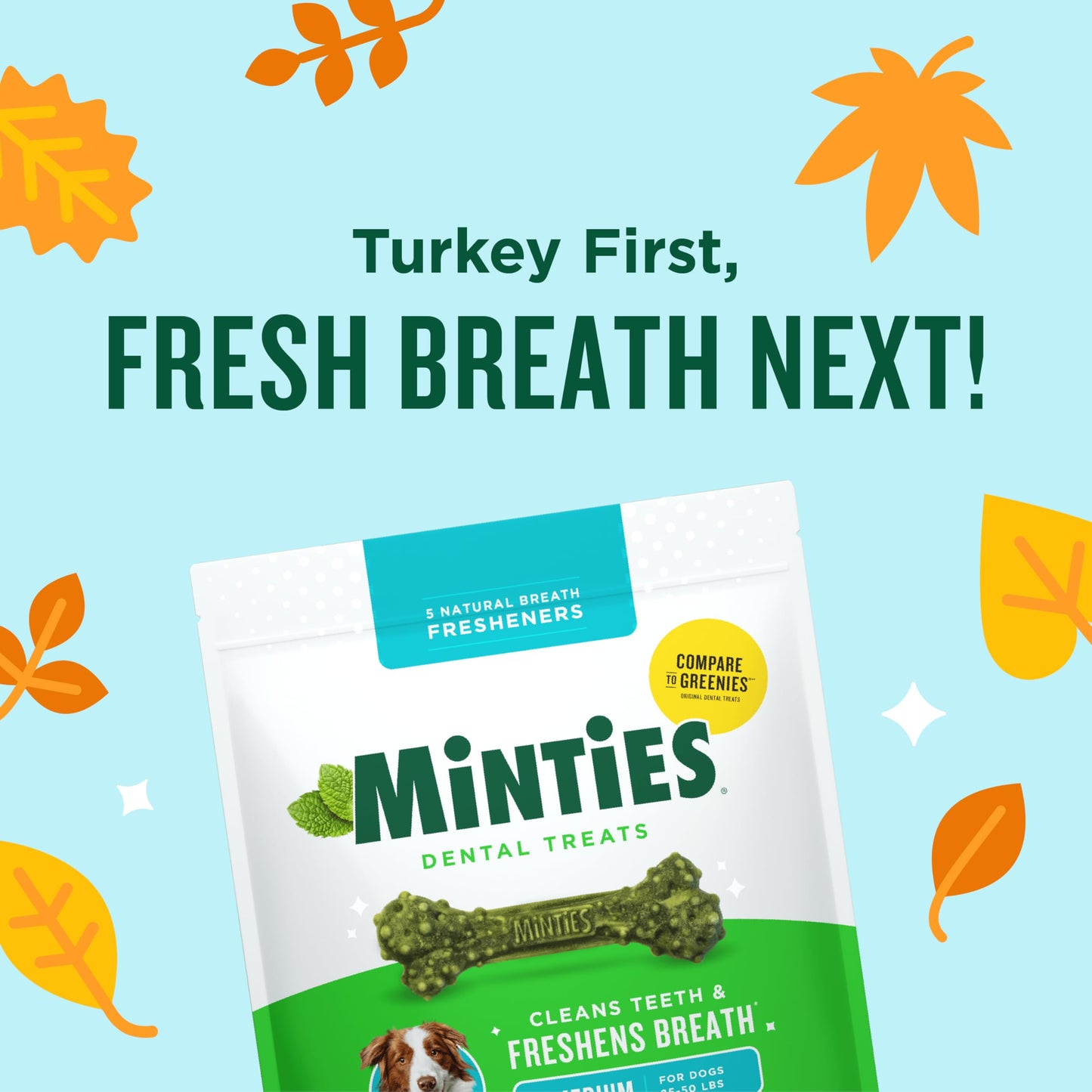 Minties Dog Dental Bone Treats, Tiny/Small Dental Dog Treats, 16 Ounces, Cleans Teeth, Fight Bad Breath, Removes Plaque and Tartar, 16 Count