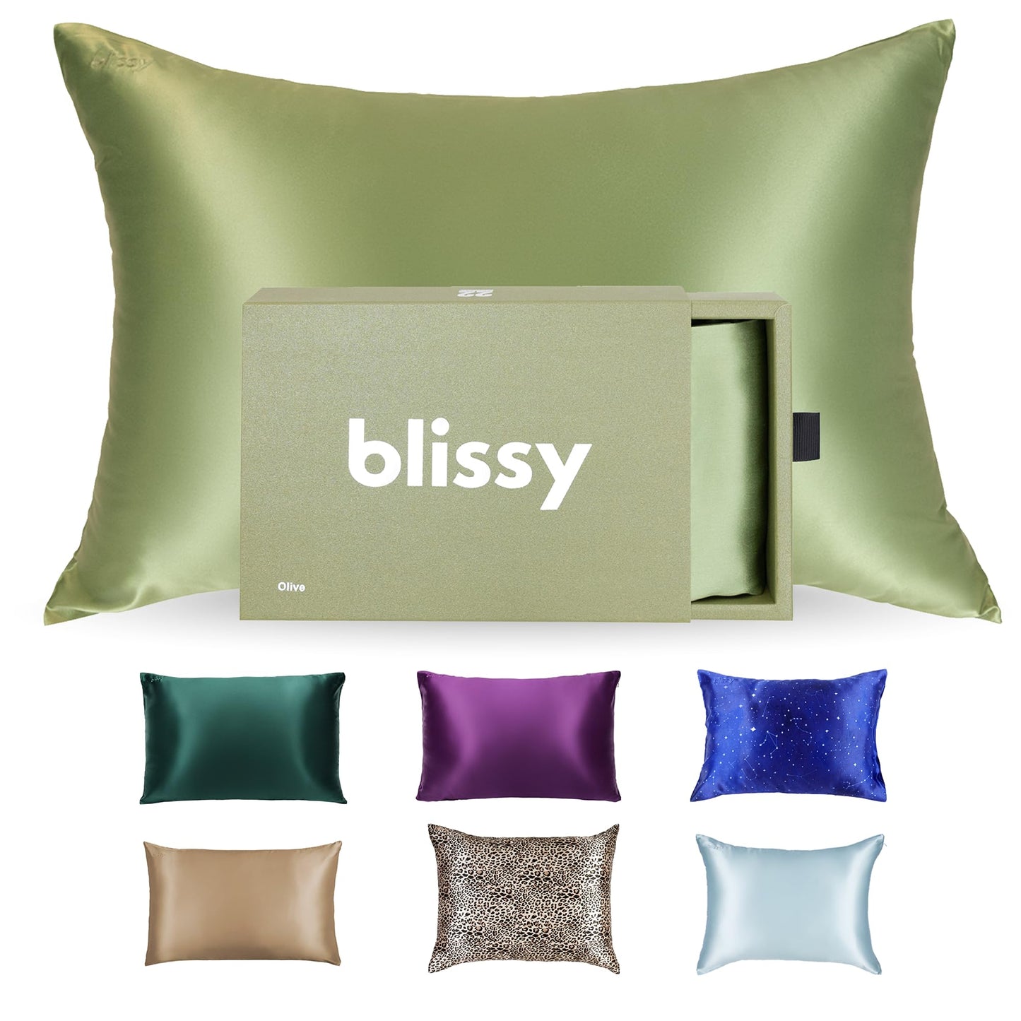 Blissy Silk Pillowcase - 100% Pure Mulberry Silk - 22 Momme 6A High-Grade Fibers - Silk Pillow Cover for Hair & Skin - Regular, Queen & King (Blissy White, Standard)