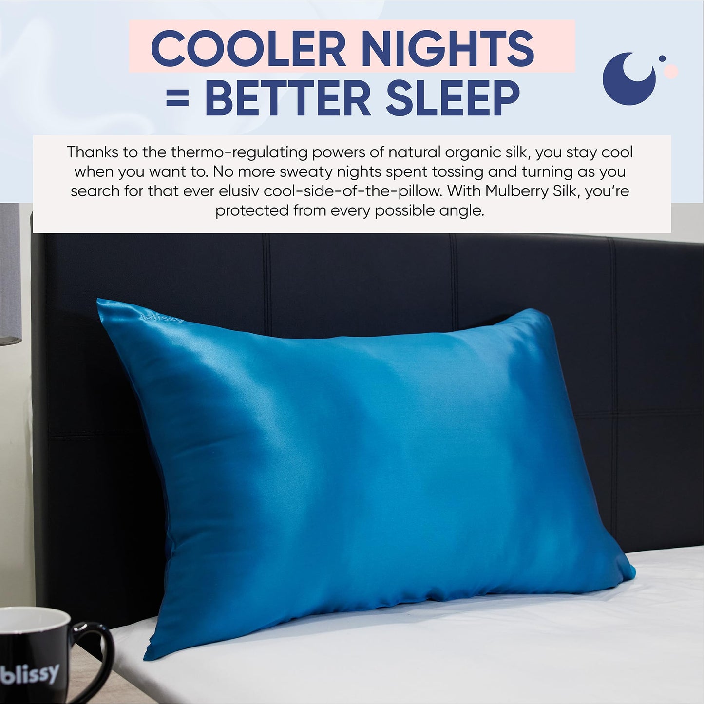 Blissy Silk Pillowcase - 100% Pure Mulberry Silk - 22 Momme 6A High-Grade Fibers - Silk Pillow Cover for Hair & Skin - Regular, Queen & King (Blissy White, Standard)