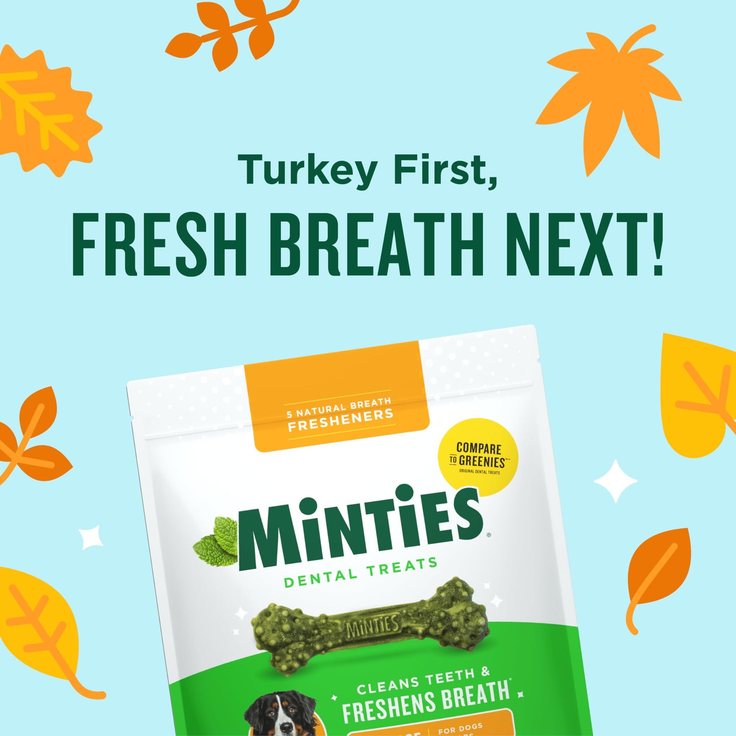 Minties Dog Dental Bone Treats, Tiny/Small Dental Dog Treats, 16 Ounces, Cleans Teeth, Fight Bad Breath, Removes Plaque and Tartar, 16 Count