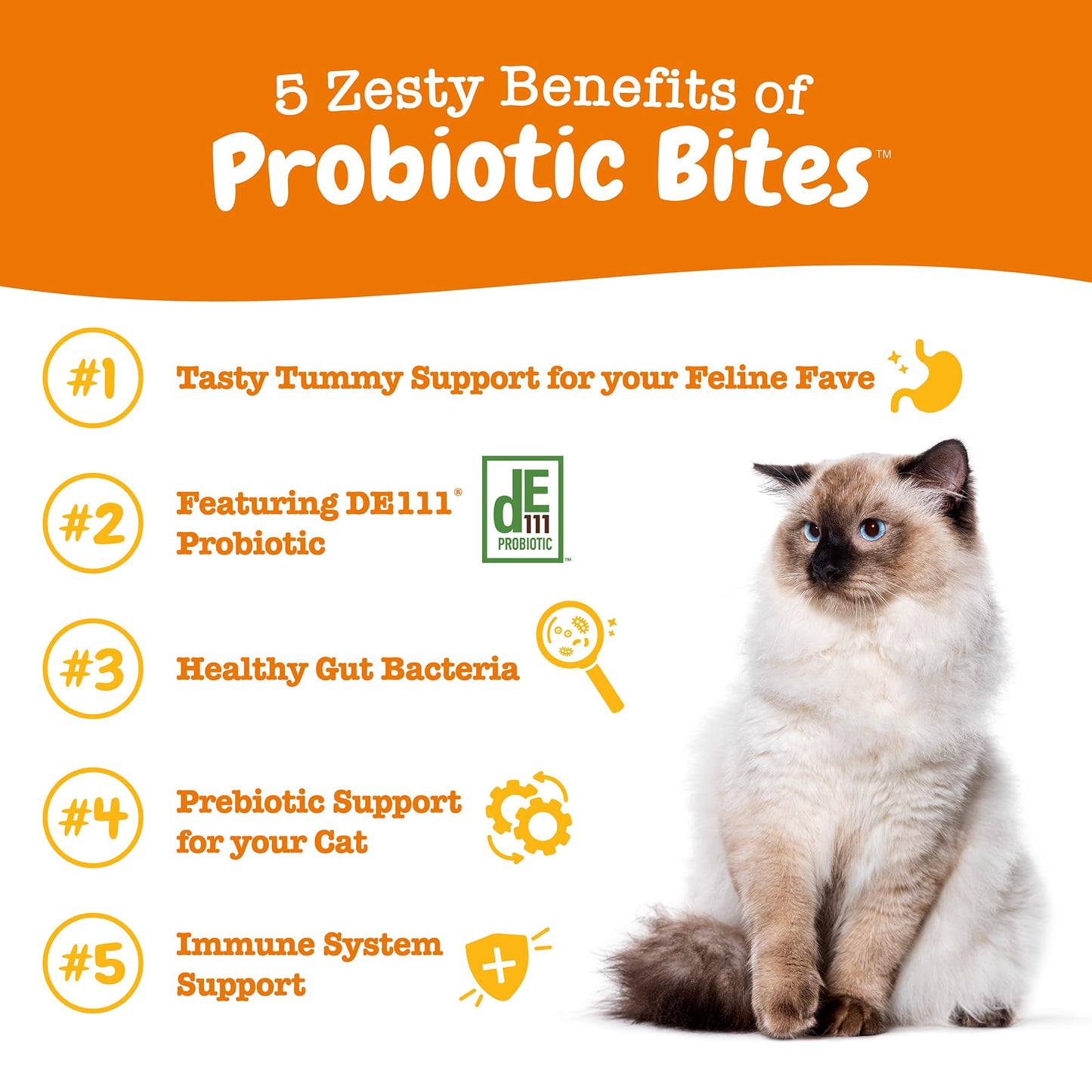 Zesty Paws Probiotics for Dogs - Digestive Enzymes for Gut Flora, Digestive Health, Diarrhea & Bowel Support - Clinically Studied DE111 - Dog Supplement Soft Chew for Pet Immune System - Pumpkin
