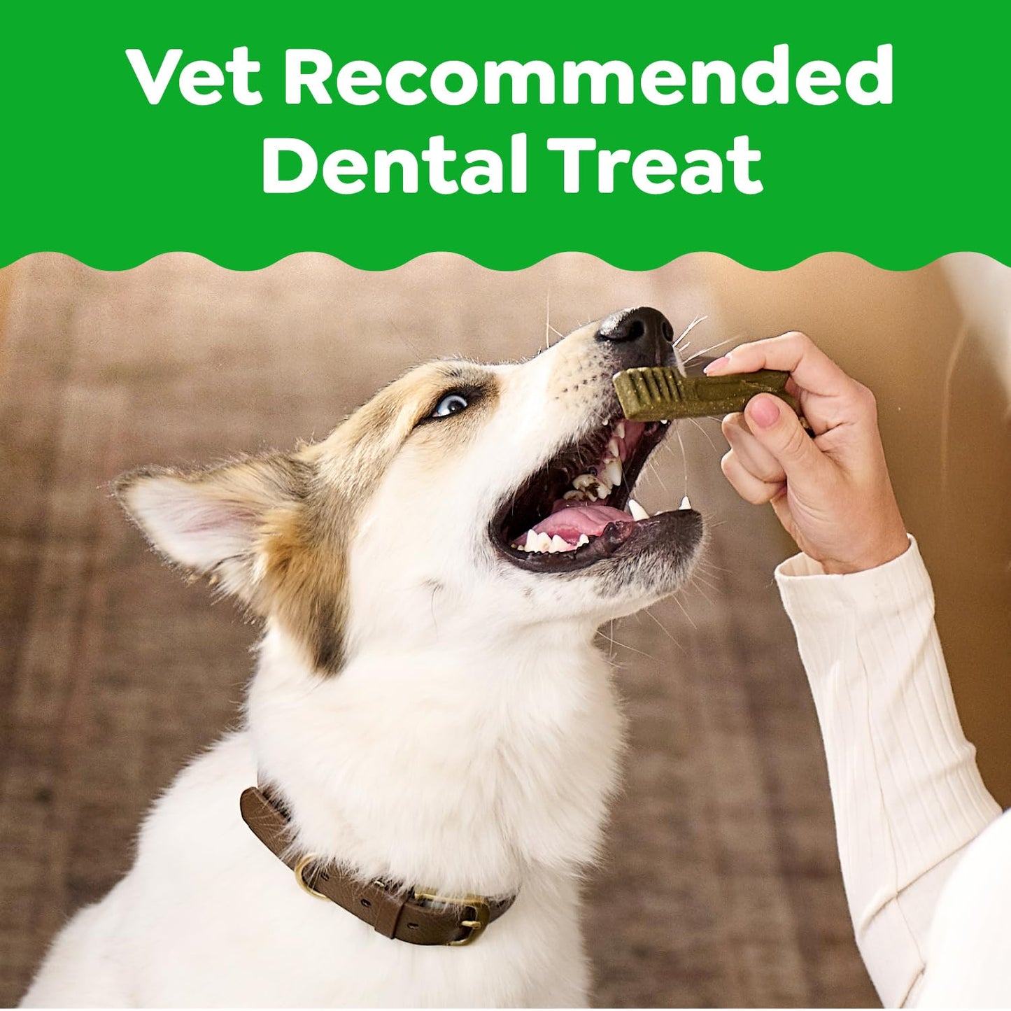 Greenies Veterinarian-Recommended Adult Natural Dental Dog Treats Regular Size, Original Flavor, 36 oz. Pack, 36 Count