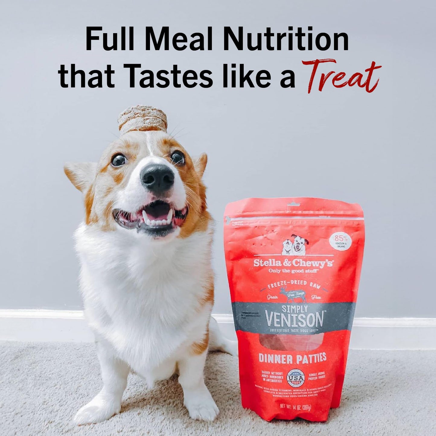 Stella & Chewy's Freeze-Dried Raw Dinner Patties - Dandy Lamb Recipe - High Protein Grain-Free Puppy & Dog Food - Perfect For Picky Eaters - 5.5 oz