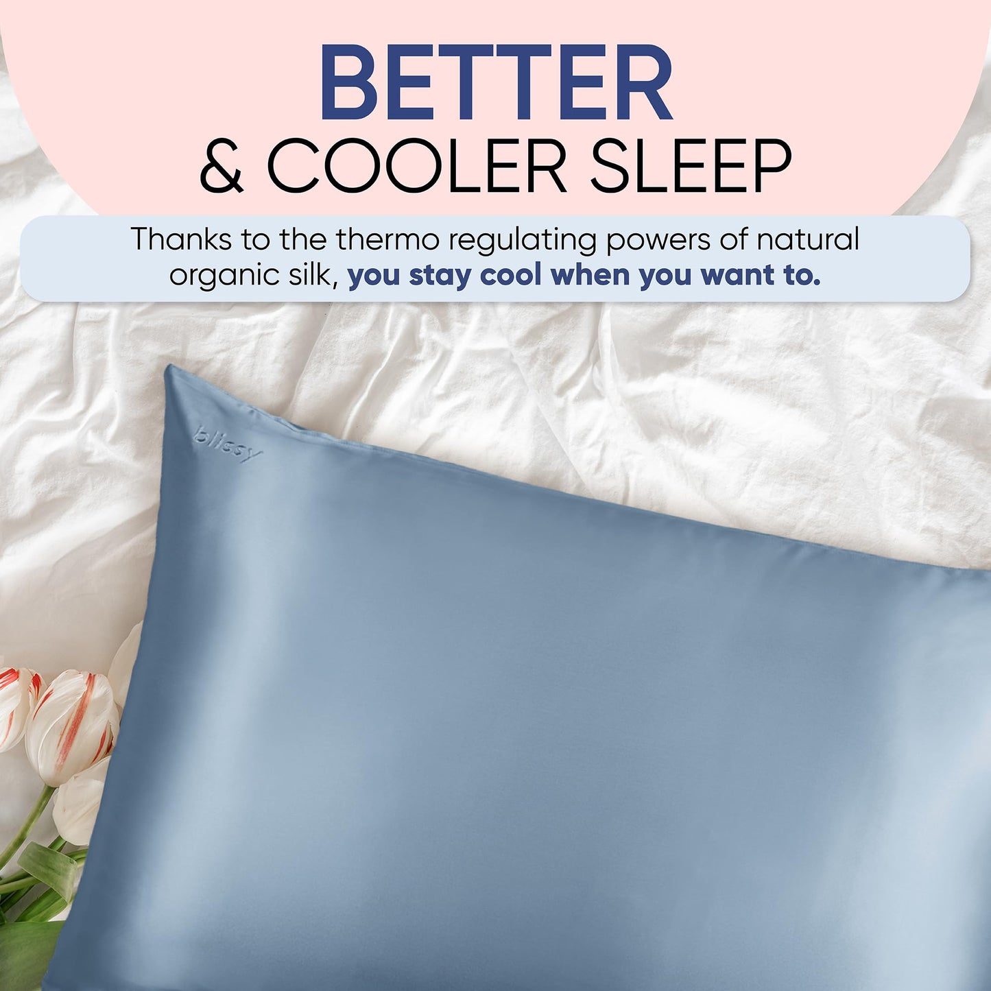 Blissy Silk Pillowcase - 100% Pure Mulberry Silk - 22 Momme 6A High-Grade Fibers - Silk Pillow Cover for Hair & Skin - Regular, Queen & King (Blissy White, Standard)