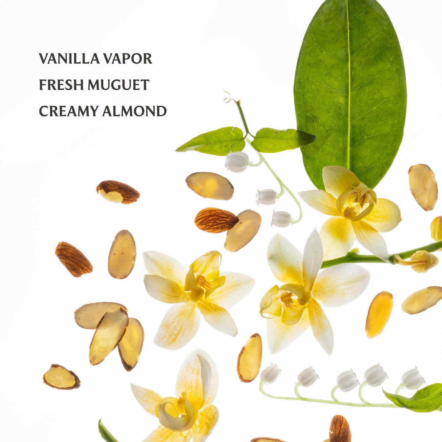 Touchland Special Edition Confetti Cake Mist + Frosted Sparkle Case Set, Scented & Stylish Hydrating Hand Sanitizer Spray Bundle, Travel Size, Dye Free, Amazon Exclusive