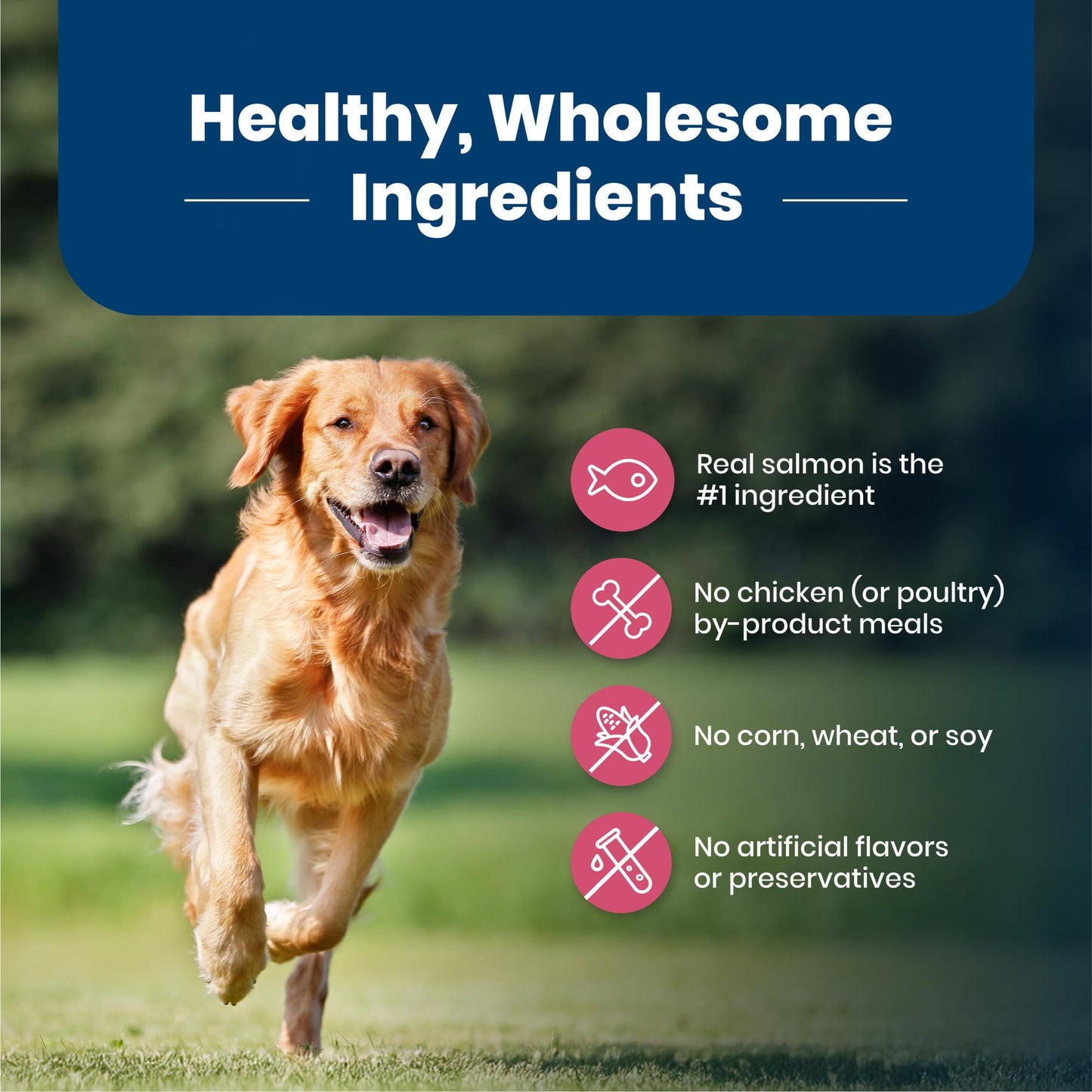 Blue Buffalo Life Protection Formula Natural Adult Small Breed Dry Dog Food, Chicken and Brown Rice 5-lb Trial Size Bag