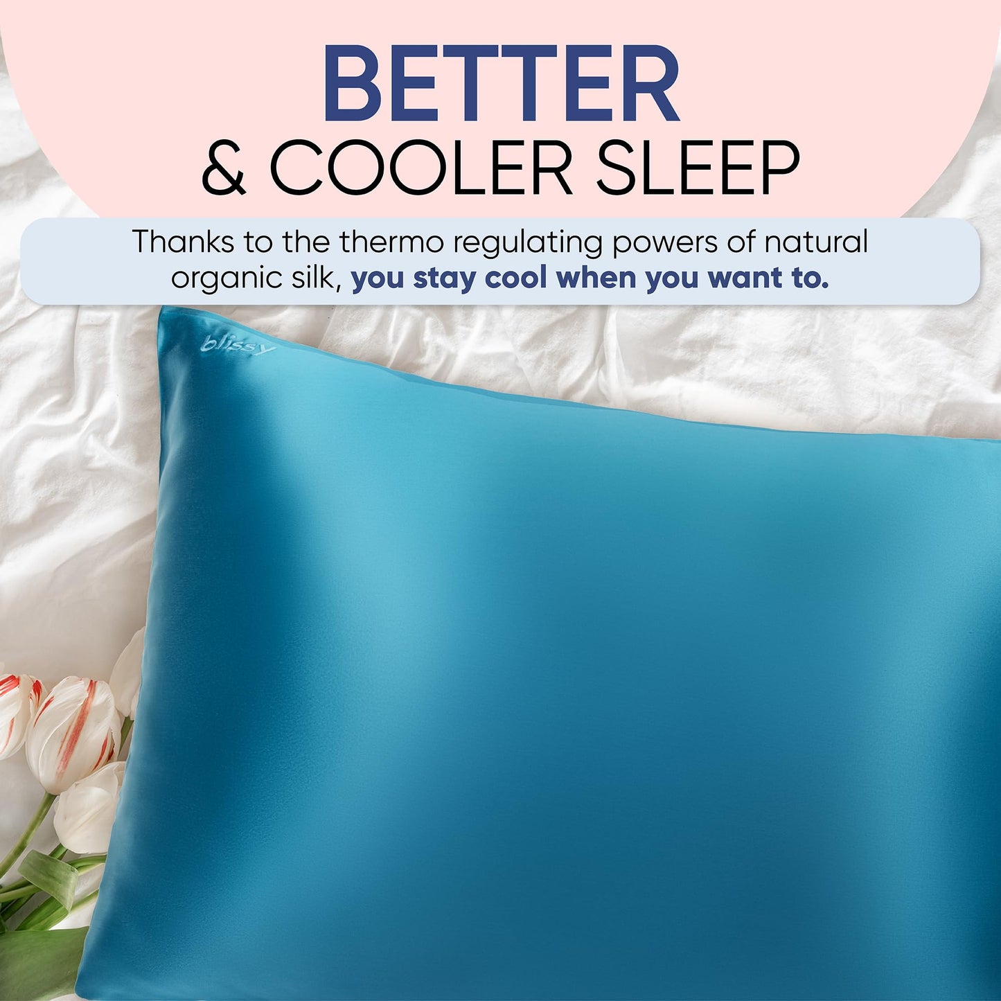 Blissy Silk Pillowcase - 100% Pure Mulberry Silk - 22 Momme 6A High-Grade Fibers - Silk Pillow Cover for Hair & Skin - Regular, Queen & King (Blissy White, Standard)