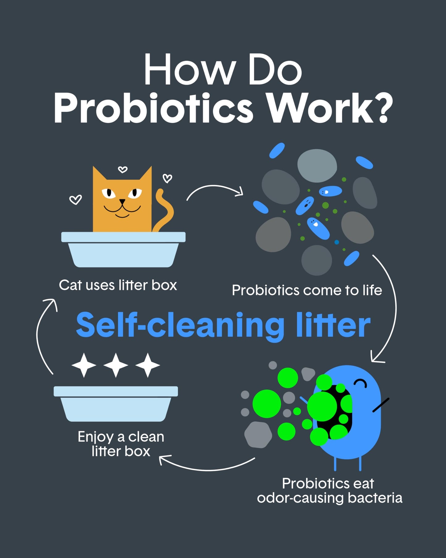 Boxie Probiotic Cat Litter, 40 Day Odor Control, Clumping Clay Kitty Litter, Odor Eliminating Probiotics, Dust-Free, No Fragrances No Fillers, 16 lb