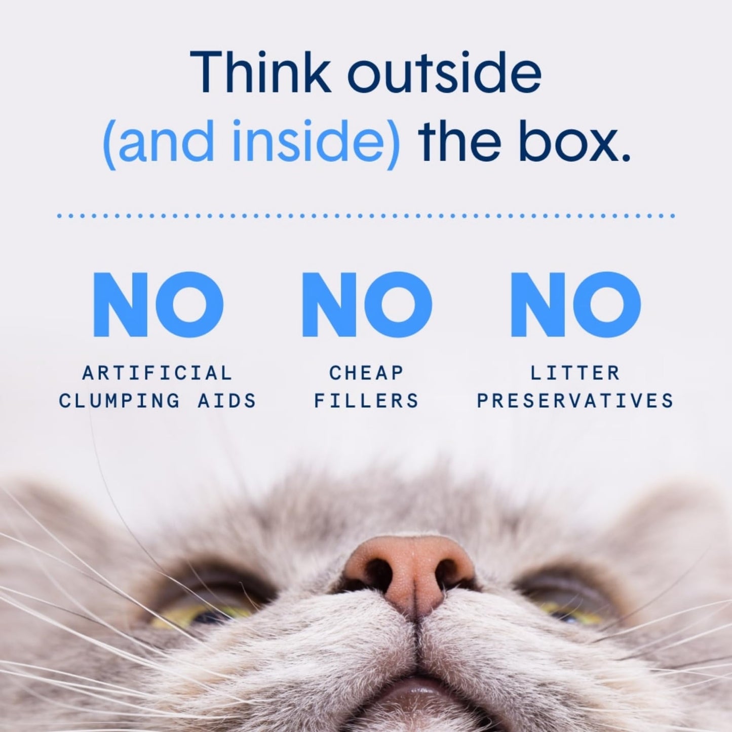 Boxie Probiotic Cat Litter, 40 Day Odor Control, Clumping Clay Kitty Litter, Odor Eliminating Probiotics, Dust-Free, No Fragrances No Fillers, 16 lb