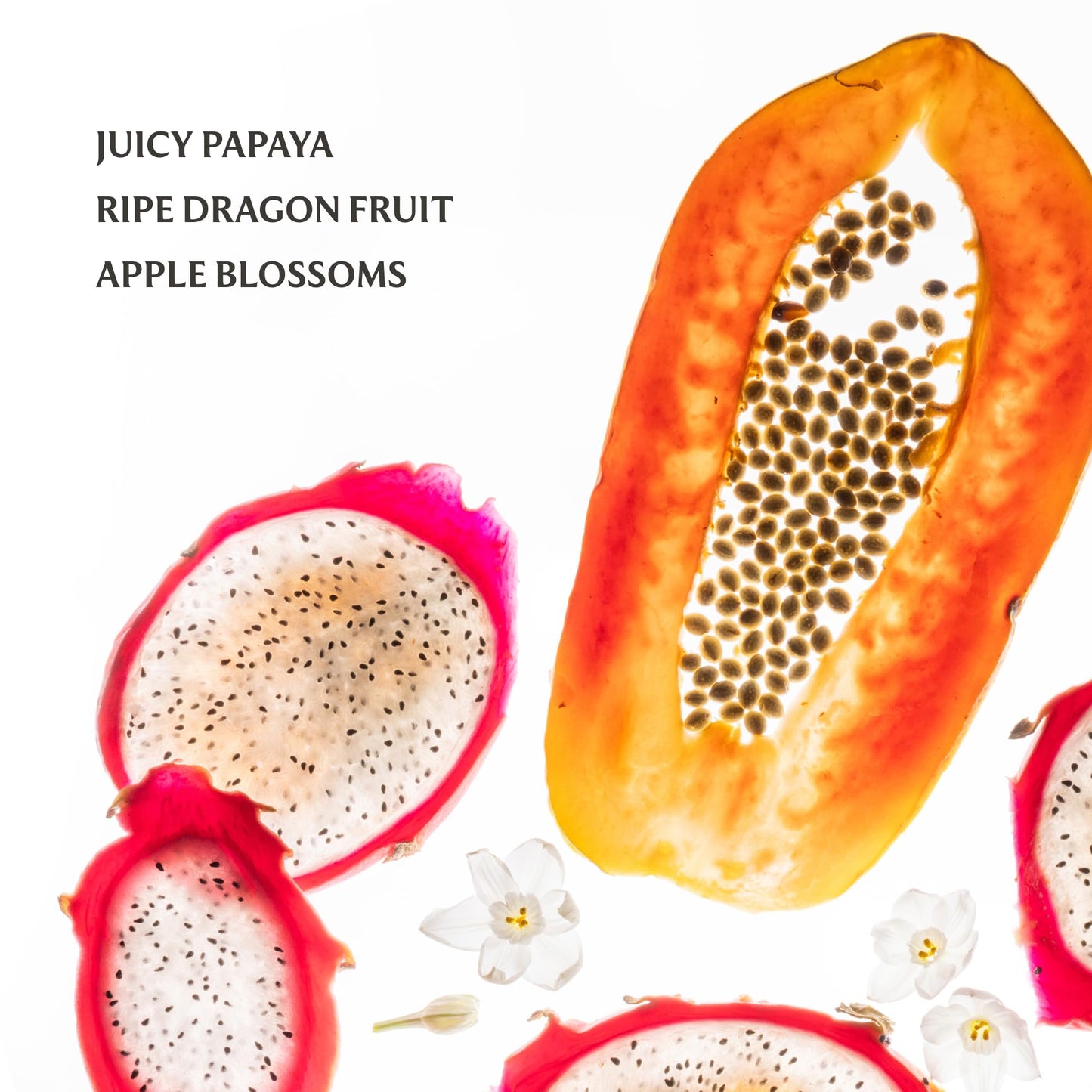 Touchland Special Edition Confetti Cake Mist + Frosted Sparkle Case Set, Scented & Stylish Hydrating Hand Sanitizer Spray Bundle, Travel Size, Dye Free, Amazon Exclusive