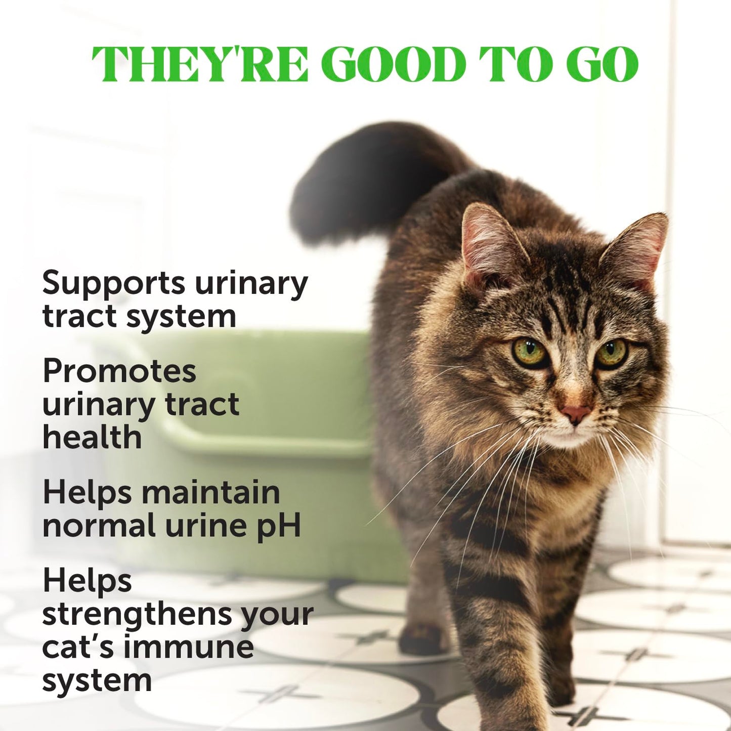 Cat Hairball Support Crunchy & Creamy Chews, Hairball Remedy Treats, Cat Furball Treatment, Supports Skin & Coat, Vitamins for Digestion, Chicken (30-Day Supply)