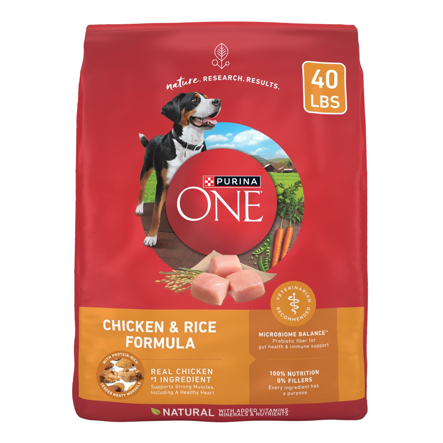 Purina ONE Dry Dog Food Lamb and Rice Formula - 31.1 lb. Bag
