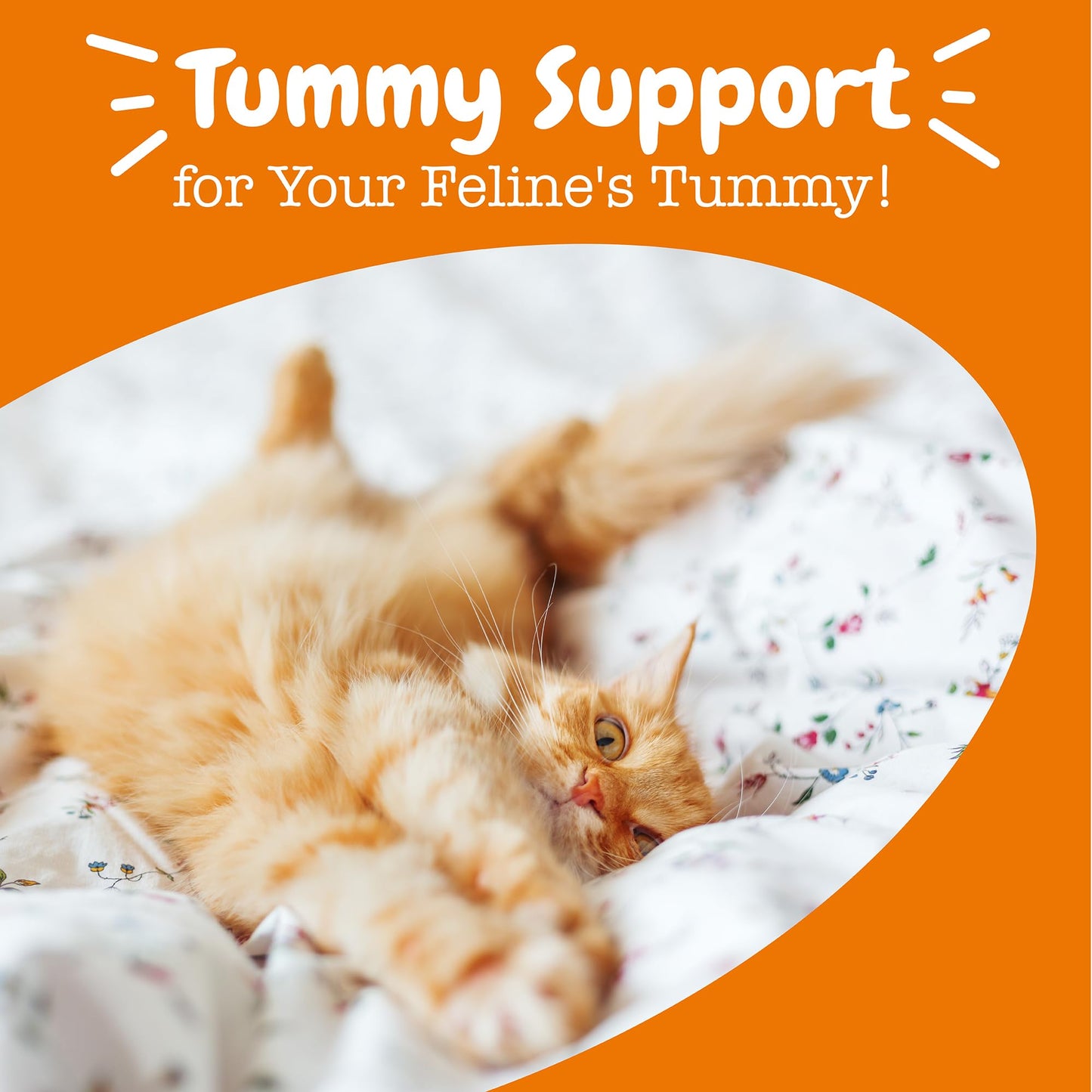 Zesty Paws Probiotics for Dogs - Digestive Enzymes for Gut Flora, Digestive Health, Diarrhea & Bowel Support - Clinically Studied DE111 - Dog Supplement Soft Chew for Pet Immune System - Pumpkin