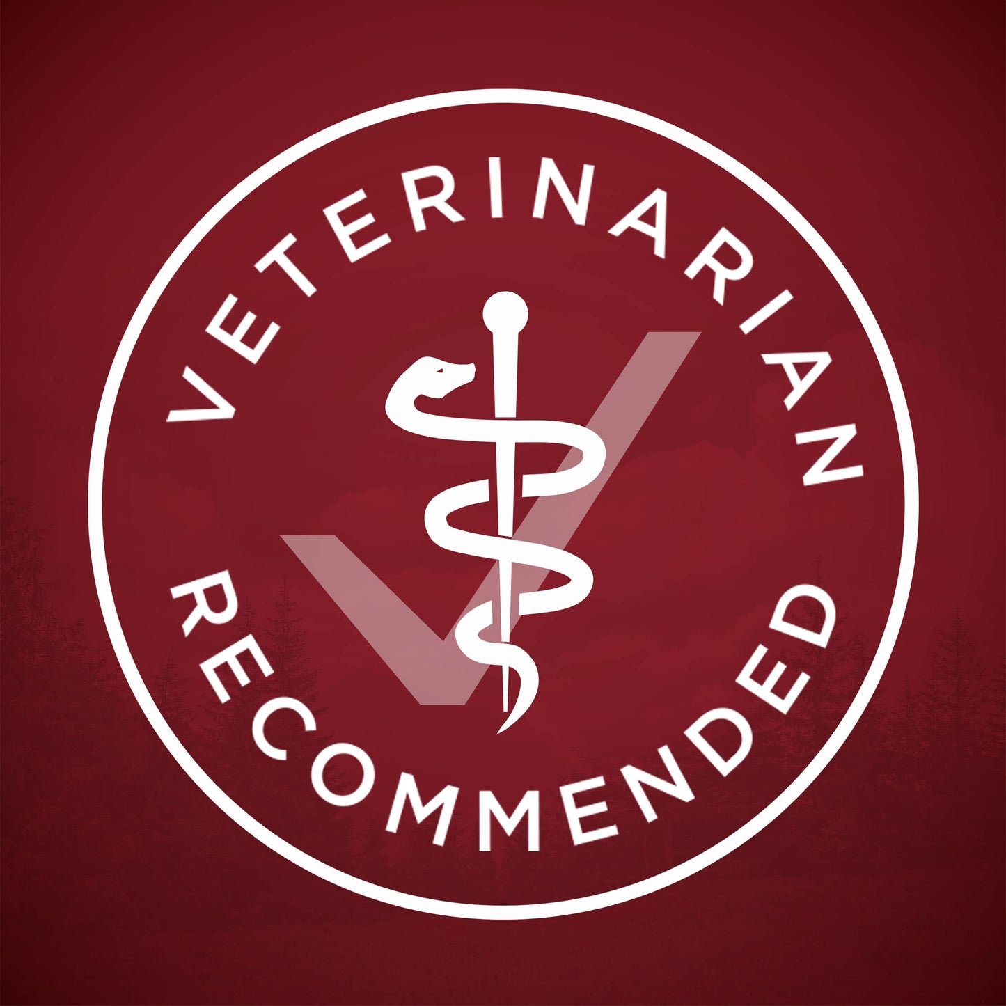 Purina ONE Classic Ground Chicken and Brown Rice, and Beef and Brown Rice Entrees Wet Dog Food Variety Pack - (Pack of 6) 13 oz. Cans