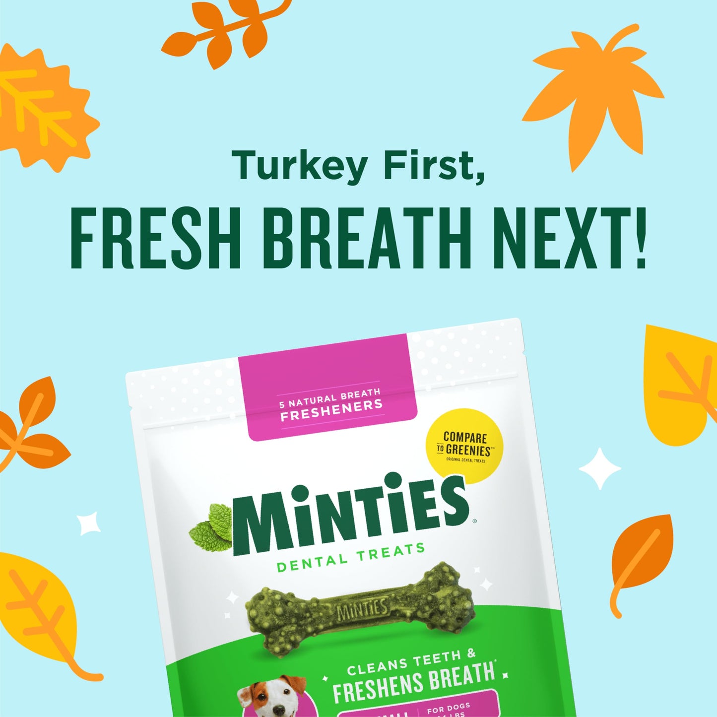 Minties Dog Dental Bone Treats, Tiny/Small Dental Dog Treats, 16 Ounces, Cleans Teeth, Fight Bad Breath, Removes Plaque and Tartar, 16 Count