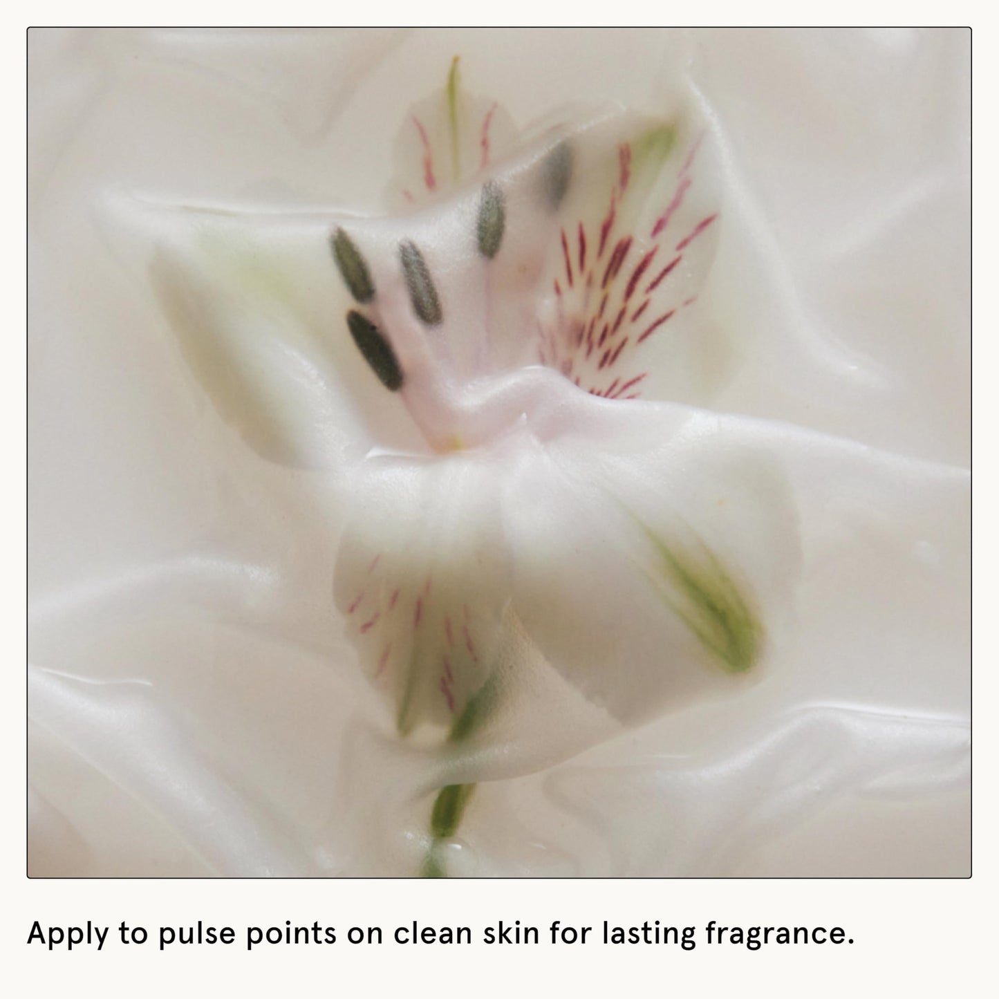 Le Monde Gourmand Pistachio Brûlée Eau de Parfum - 1 fl oz (30 ml) - Nutty, Vanilla Perfume Notes