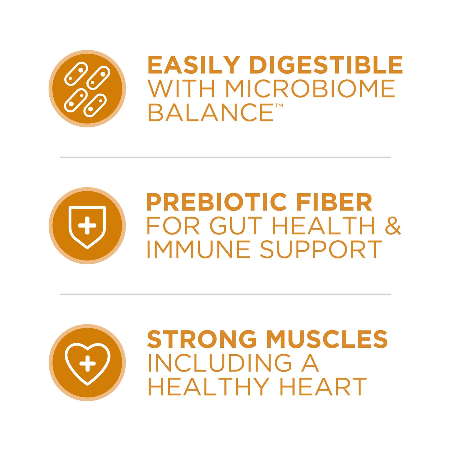 Purina ONE Dry Dog Food Lamb and Rice Formula - 31.1 lb. Bag