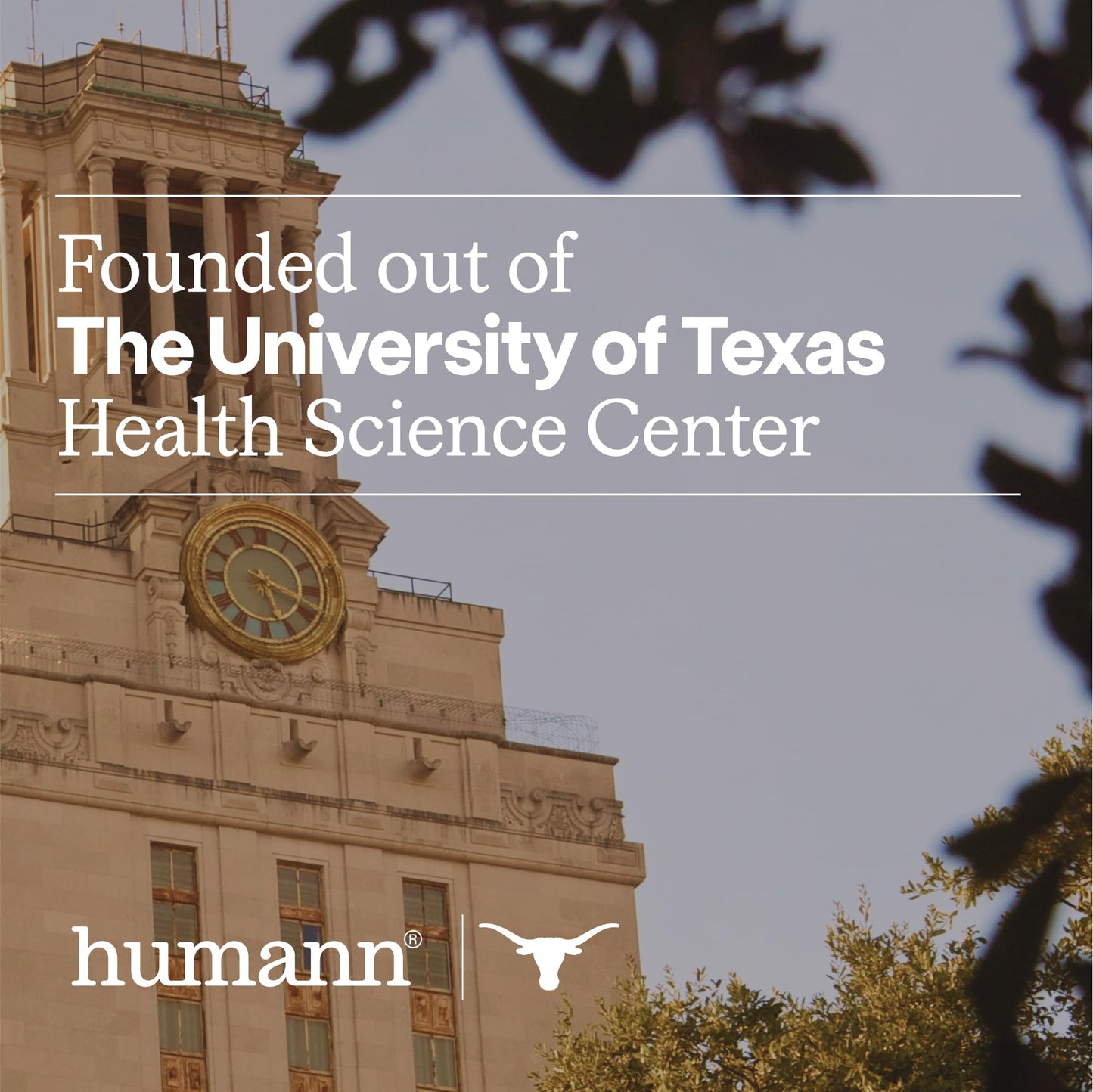 Humann SuperBeets Heart Chews, Nitric Oxide and Blood Pressure Support, Grape Seed Extract & Non-GMO Beet Root Powder Energy Supplement, Pomegranate Berry Flavor, 60 Count