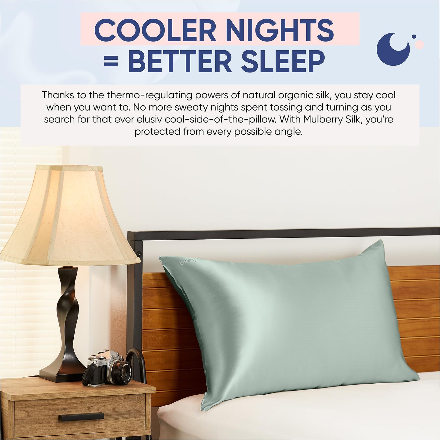 Blissy Silk Pillowcase - 100% Pure Mulberry Silk - 22 Momme 6A High-Grade Fibers - Silk Pillow Cover for Hair & Skin - Regular, Queen & King (Blissy White, Standard)