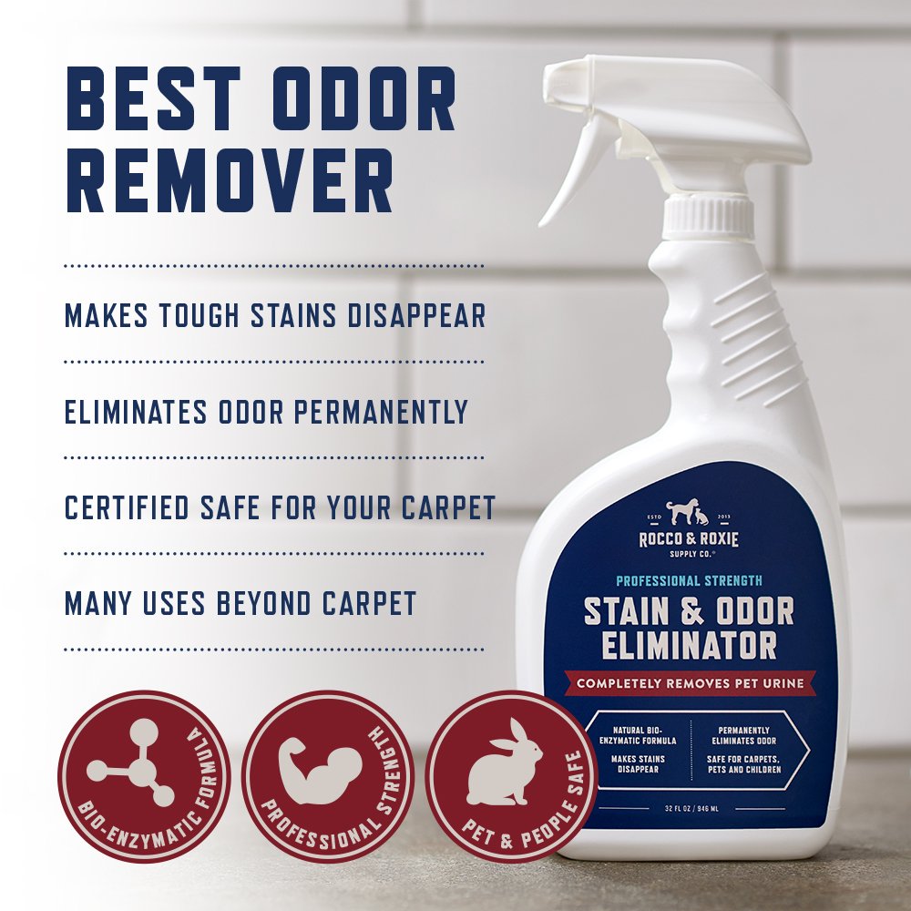Rocco & Roxie Supply Co. Stain & Strong Odor Eliminator, Enzyme Cleaner, Pet Odor Eliminator for Home - Carpet Stain Remover for Cats & Dog Pee - Urine Destroyer - Carpet Cleaner Spray Clear, 32 Fl Oz
